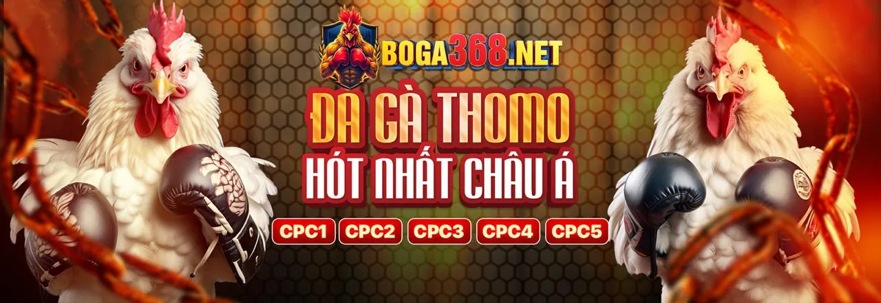 Đá gà trực tuyến kịch tính tại 20tr88 nhà cái
