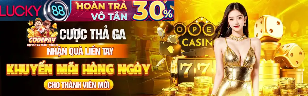 Quyền riêng tư và kiểm soát dữ liệu người dùng tại 20tr88